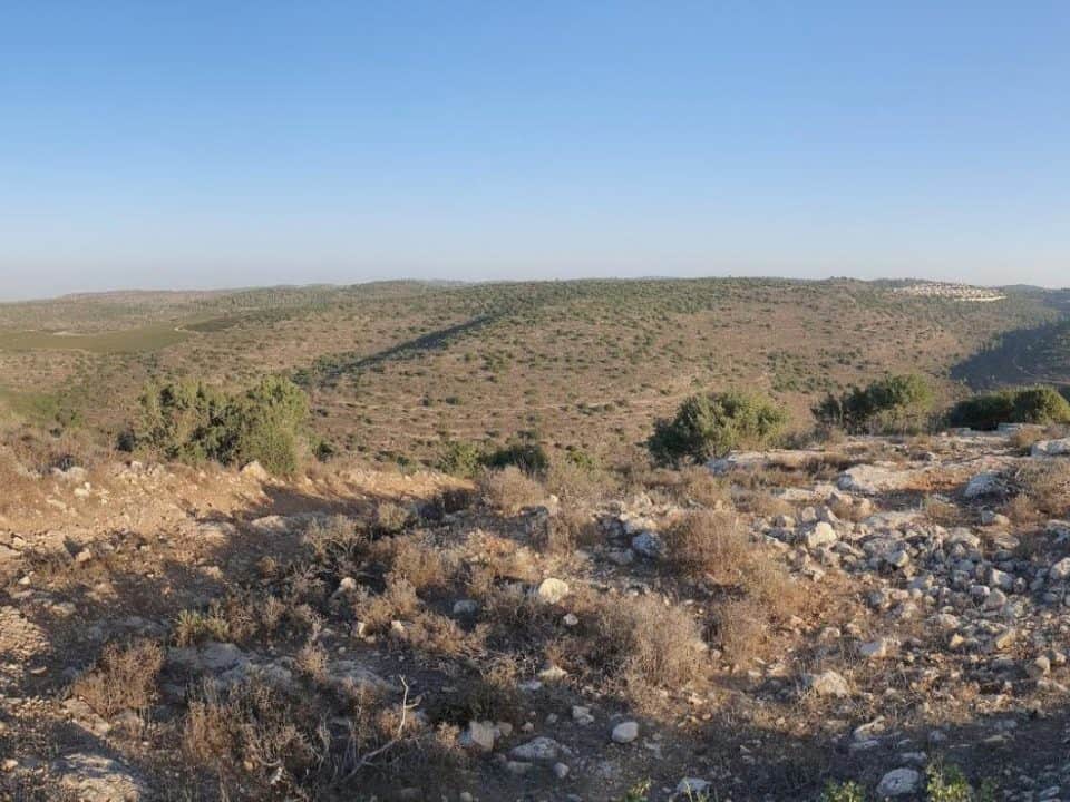 הר סנסן סינגל ריצה